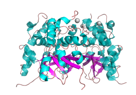 Image of structure of the T1 assembly domain from Kv2.1